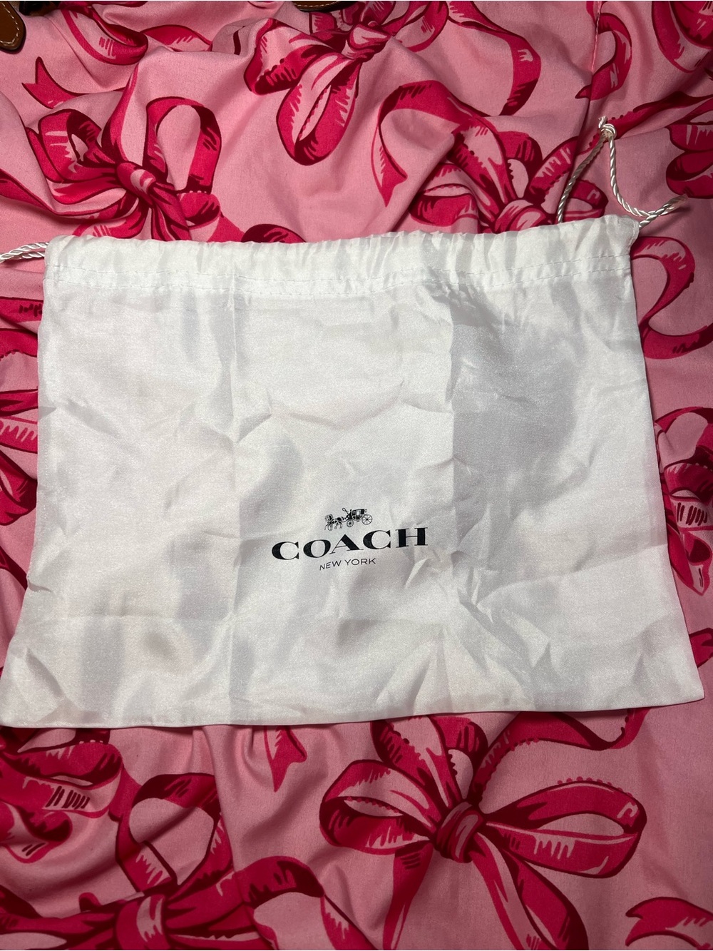 Coach x Tom Wesselmann Signature Canvas Crossbody with Red Lip Appliqués - Picture 4 of 10